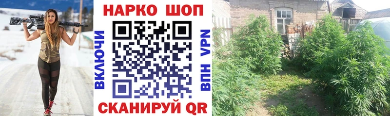 Магазины продажи наркотиков Жуковка Гашиш  A PVP  АМФ  Псилоцибиновые грибы  МЕФ  COCAIN 