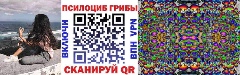 Псилоцибиновые грибы Cubensis Жуковка